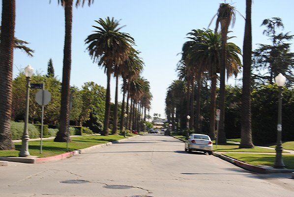DSC 0171