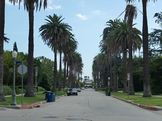 P1020294