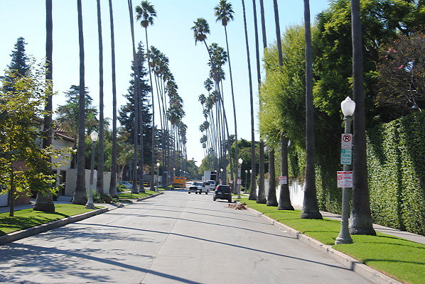 DSC 0231