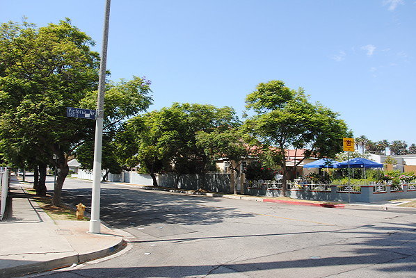 DSC 0084