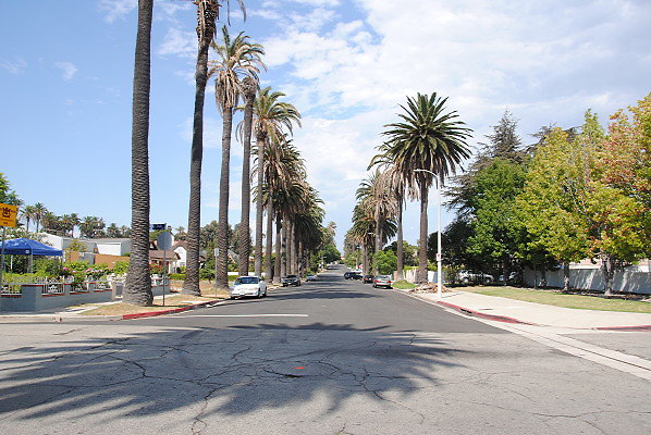 DSC 0085
