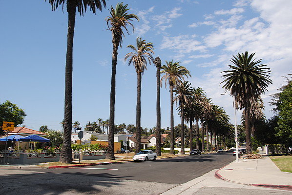 DSC 0090