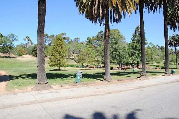 DSC 0291