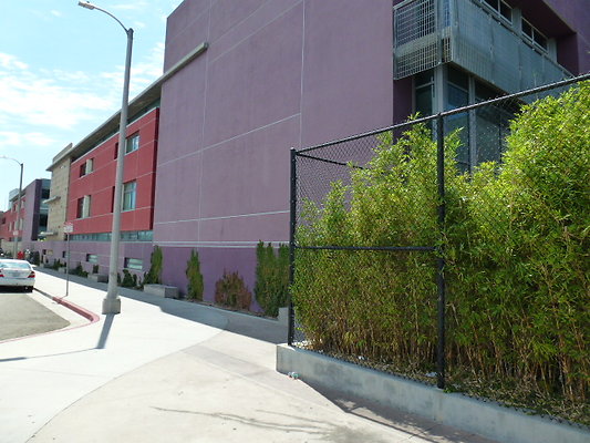 P1020120