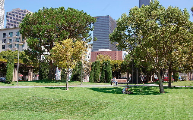 DSC 0037a