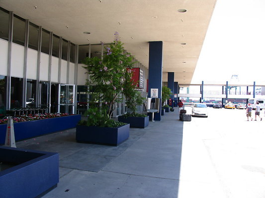 IMG 3026