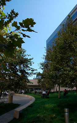 DSC 0191