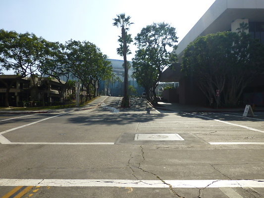 P1130445
