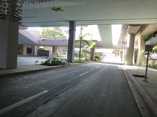 P1130454