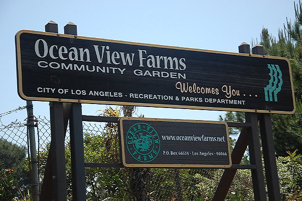 Ocean View Farms.West LA