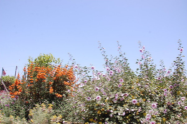 DSC 0170