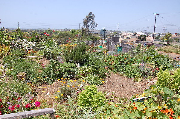 DSC 0185