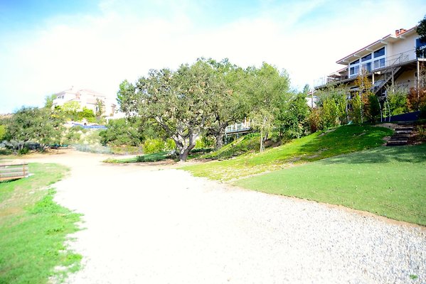DSC 1251