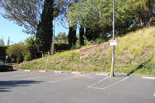 DSC 0029
