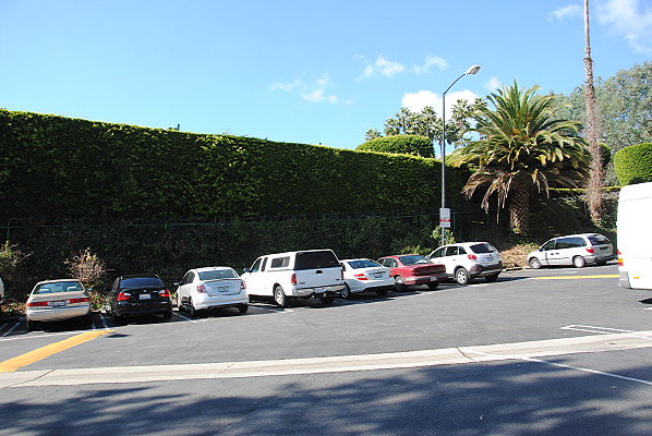DSC 0006