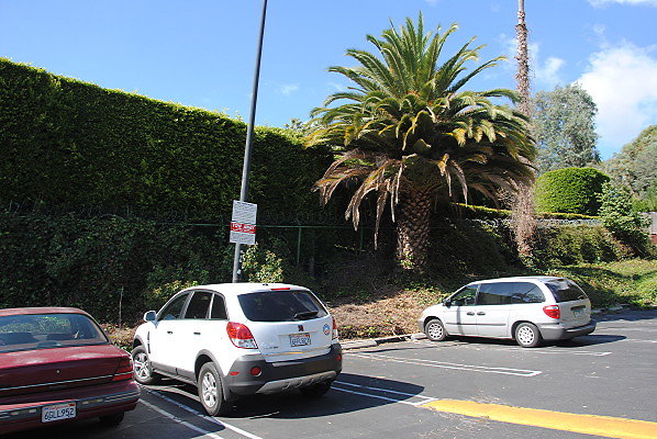 DSC 0014