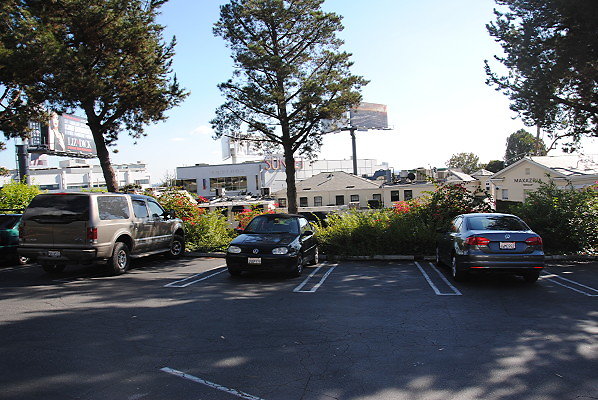 DSC 0020