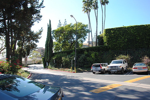 DSC 0005
