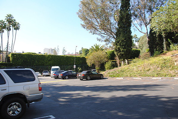 DSC 0033