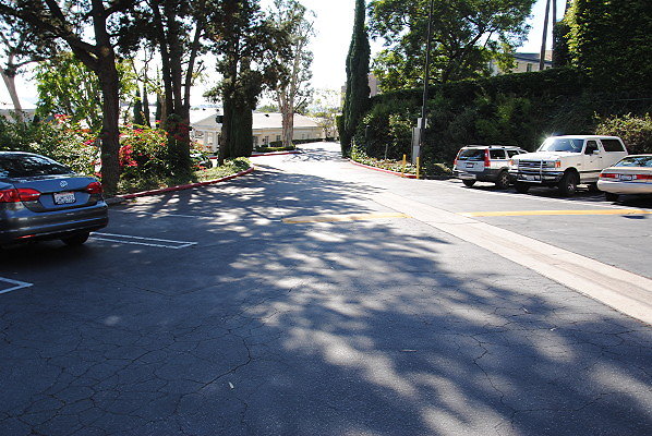 DSC 0010