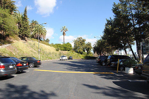 DSC 0009