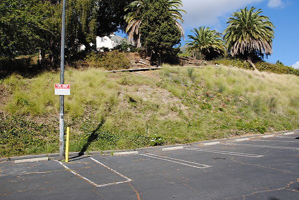 DSC 0024