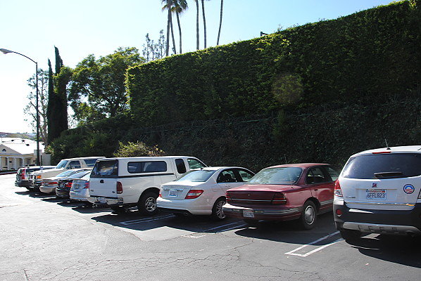 DSC 0019
