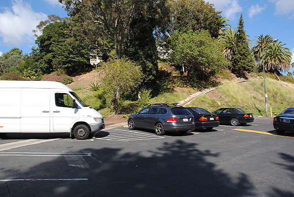 DSC 0007