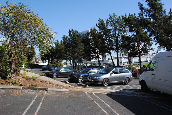 DSC 0017