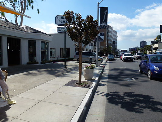P1020867