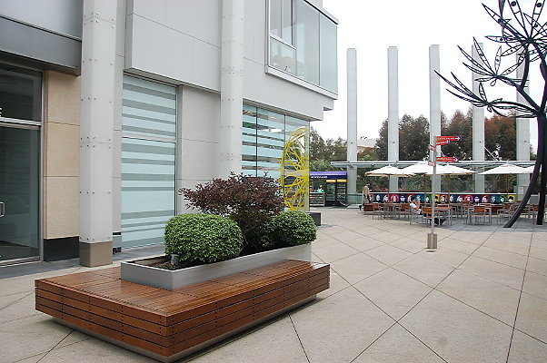DSC 0391