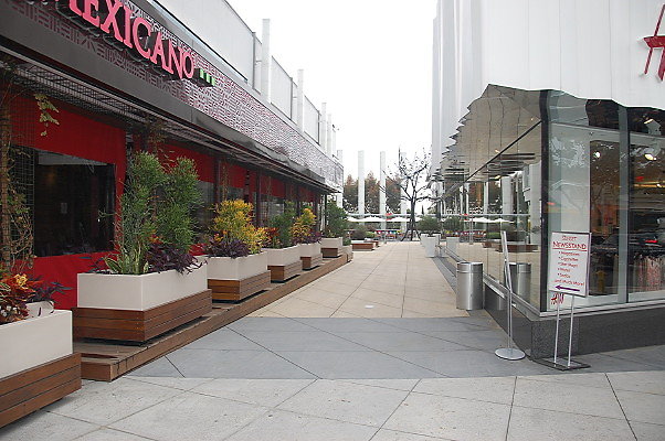 DSC 0387