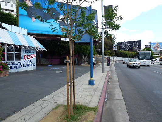 P1020768