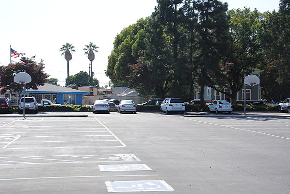 DSC 0230