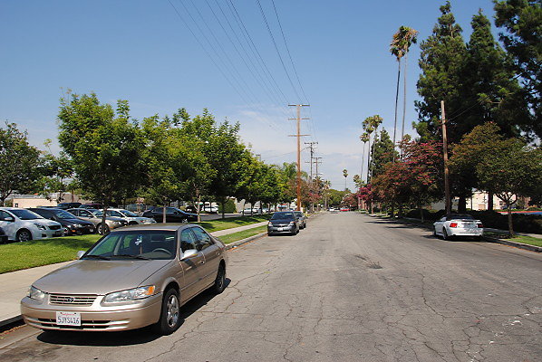 DSC 0242