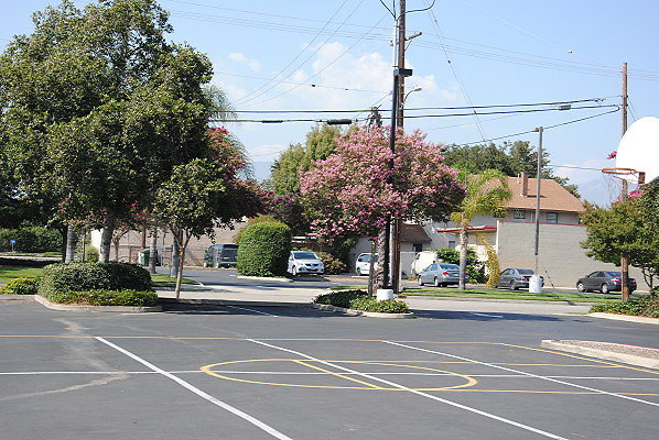 DSC 0234