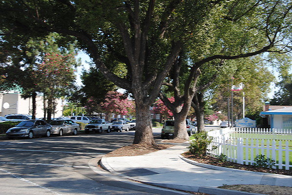 DSC 0241