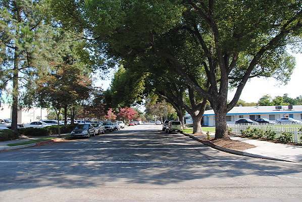 DSC 0244