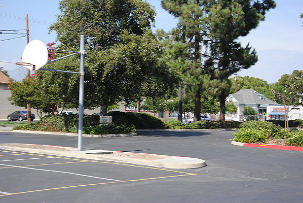 DSC 0235