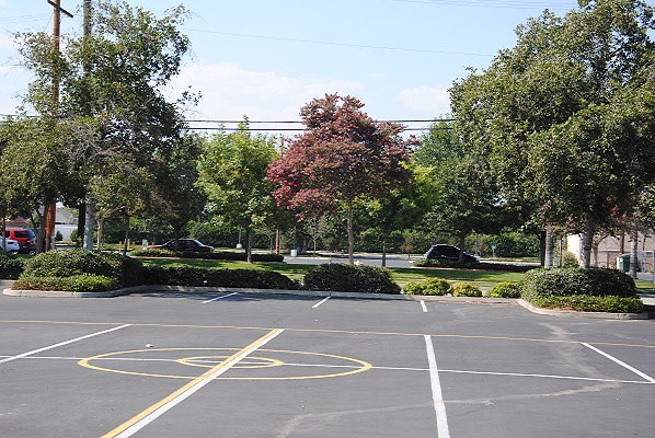 DSC 0233
