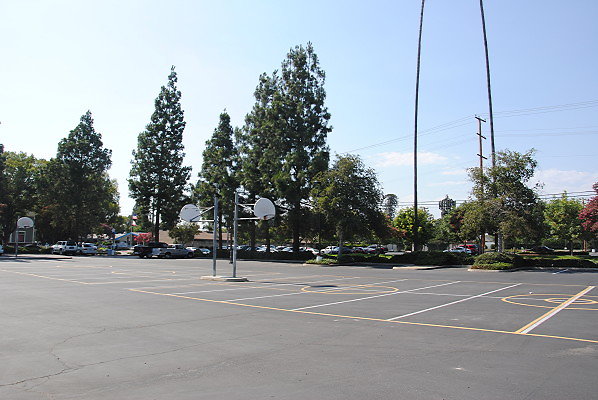 DSC 0237