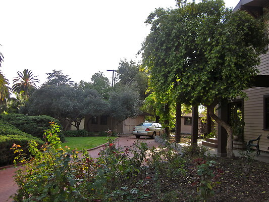 IMG 0497 2