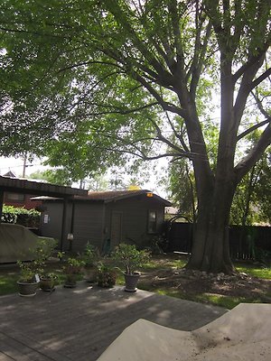 BM 304 22