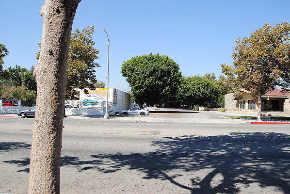 DSC 0222