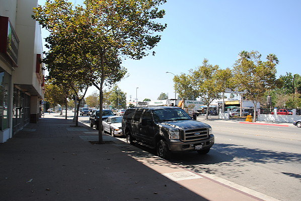 DSC 0221