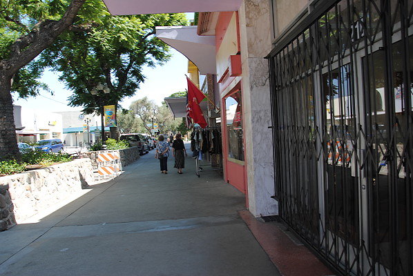 DSC 0060
