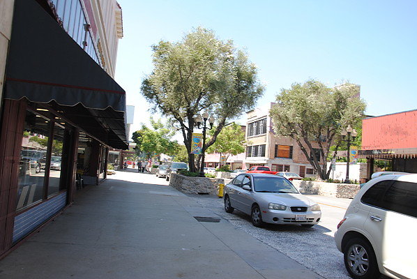 DSC 0061
