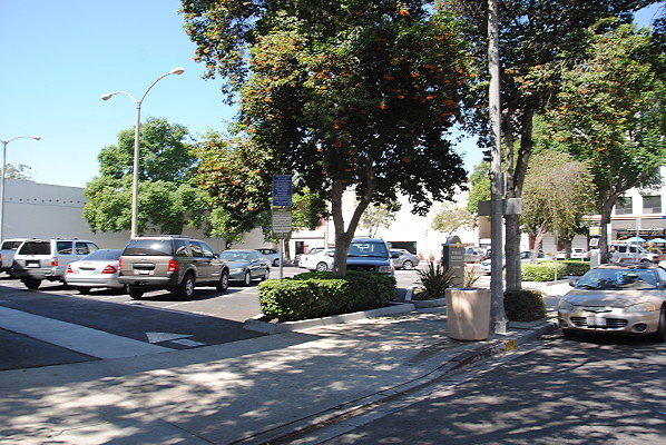 DSC 0097