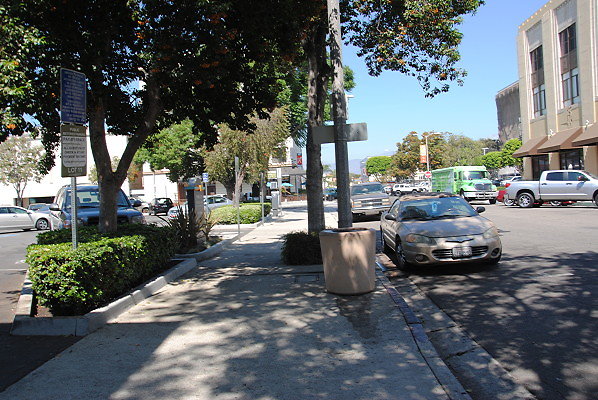 DSC 0102