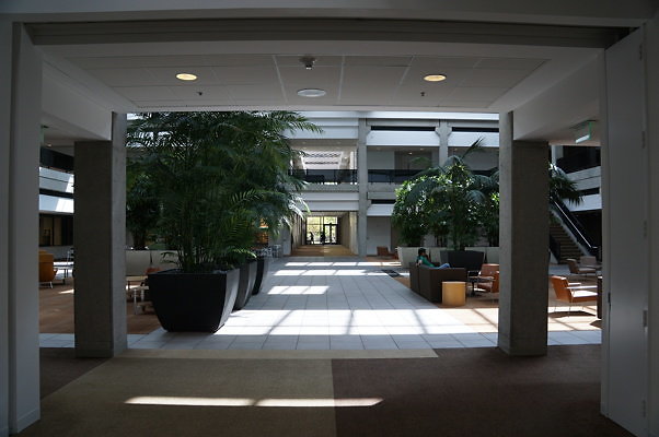 DSC00604